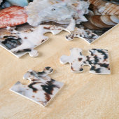 Farbige Muscheln Puzzle (Seite)