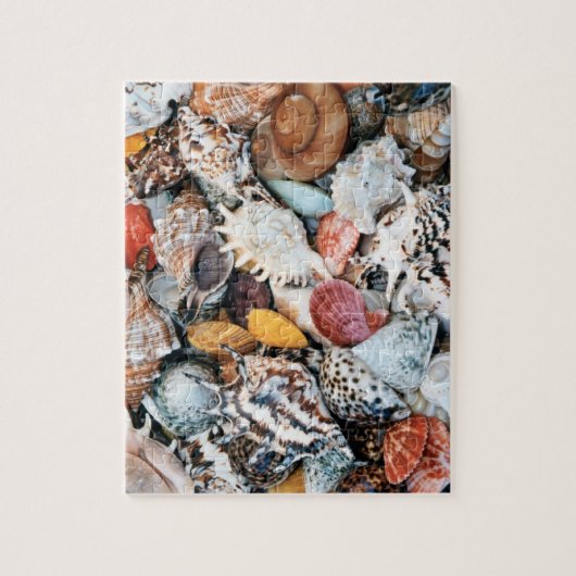 Farbige Muscheln Puzzle (Vertikal)
