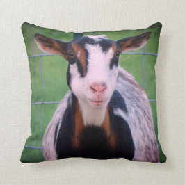 Farbige nigerianische Zwerg Milchziege Kissen