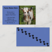 Farbige nigerianische Zwergziege mit blauen Augen Visitenkarte (Vorne/Hinten)