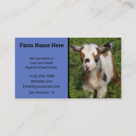 Farbige nigerianische Zwergziege mit blauen Augen Visitenkarte (Vorderseite)