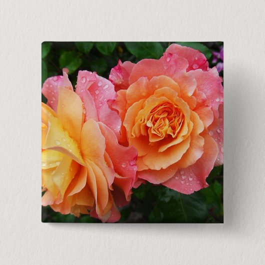 Farbige Ober-Rose Foto Button (Vorderseite)