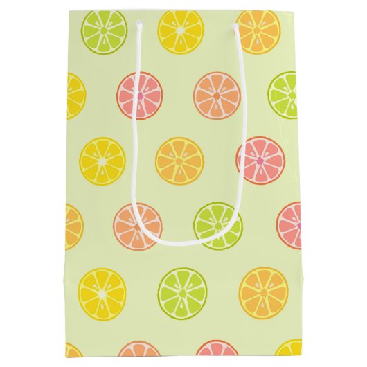 FARBIGE OBSTSLIZEN MITTLERE GESCHENKTÜTE (Rückseite)