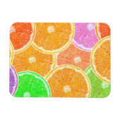 Farbige Orangen Magnet (Horizontal)