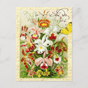 Farbige Orchideen und gelber Schmetterling Postkarte