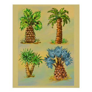 Farbige Palmensorten. Poster