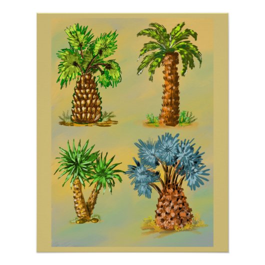 Farbige Palmensorten. Poster (Vorderseite)