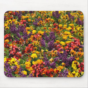 Farbige Pansy-Blume Mousepad