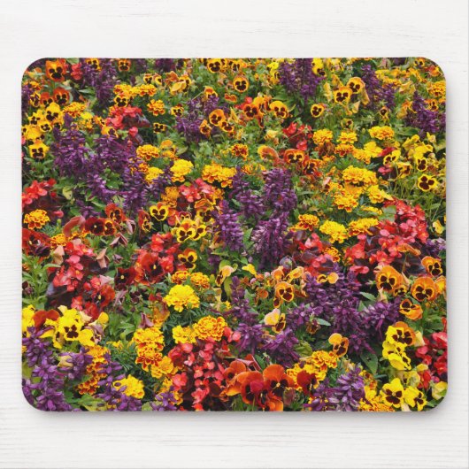 Farbige Pansy-Blume Mousepad (Vorne)