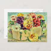 Farbige Pansy-Blume Vintage Saatpackabdeckung Postkarte (Vorne/Hinten)