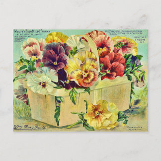 Farbige Pansy-Blume Vintage Saatpackabdeckung Postkarte