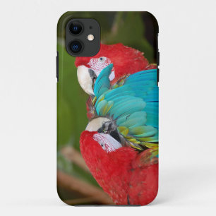 Farbige Papagei-Abdeckung Case-Mate iPhone Hülle