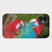 Farbige Papagei-Abdeckung Case-Mate iPhone Hülle (Rückseite (Horizontal))