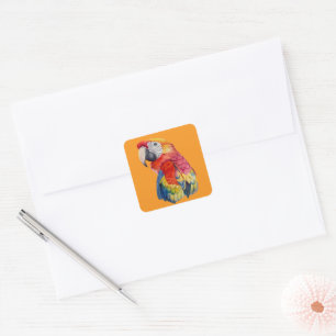 Farbige Papageien-Wasserfarben-Illustration Quadratischer Aufkleber