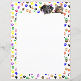 Farbige Paw-Prints mit Hund und Katze 8,5 x 11