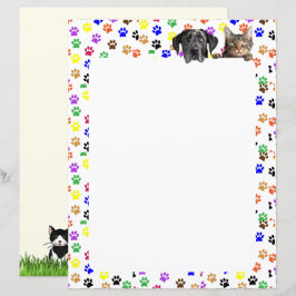 Farbige Paw-Prints mit Hund und Katze 8,5 x 11