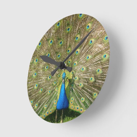 Farbige Pfauenhalle Runde Wanduhr (Winkel)