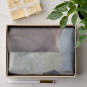 Farbige Pferde Seidenpapier (Geschenk)