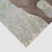 Farbige Pferde Seidenpapier (Detail)