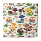 Farbige Pilze Fliese (Vorderseite)