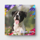 Farbige Pinselstriche Foto Fotoplatte (Vorderseite)