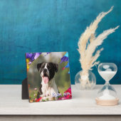 Farbige Pinselstriche Foto Fotoplatte (InSitu)