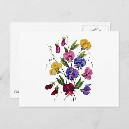 Farbige Platterbsen Postkarte (Vorne/Hinten)