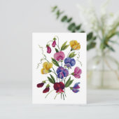 Farbige Platterbsen Postkarte (Stehend Vorderseite)