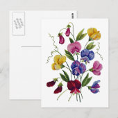 Farbige Platterbsen Postkarte (Vorne/Hinten)