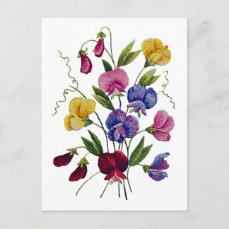 Farbige Platterbsen Postkarte