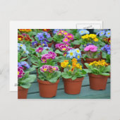 Farbige Primaten drucken Postkarte (Vorne/Hinten)