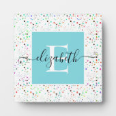 Farbige Punkteplakette Fotoplatte (Vorderseite)