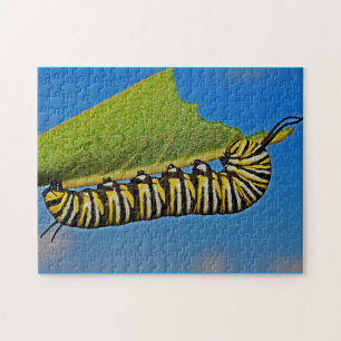 Farbige Raupe Nah-up Foto Puzzle