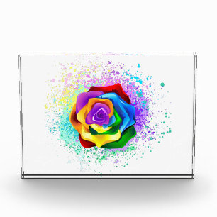 Farbige Regenbogenrose Fotoblock