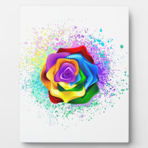 Farbige Regenbogenrose Fotoplatte