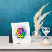 Farbige Regenbogenrose Fotoplatte (InSitu)