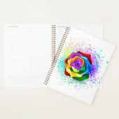 Farbige Regenbogenrose Planer (Anzeige)