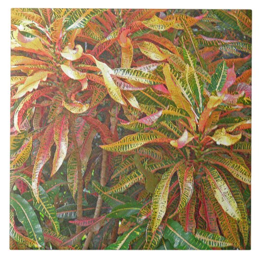 "FARBIGE RIBBONÄHNLICHE BLÄTTER" KERAMIK TILE/TRIV FLIESE (Vorderseite)