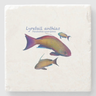 farbige Riff-Fische Steinuntersetzer