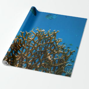 Farbige Riffe Geschenkpapier