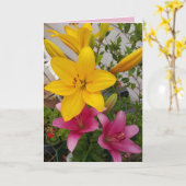 Farbige Rosa Liege Blume Karte (Gelbe Blume)