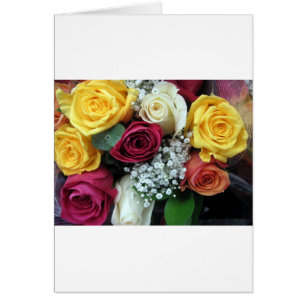 Farbige Rose