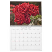 Farbige Rose Blume Kalender (Feb 2027)