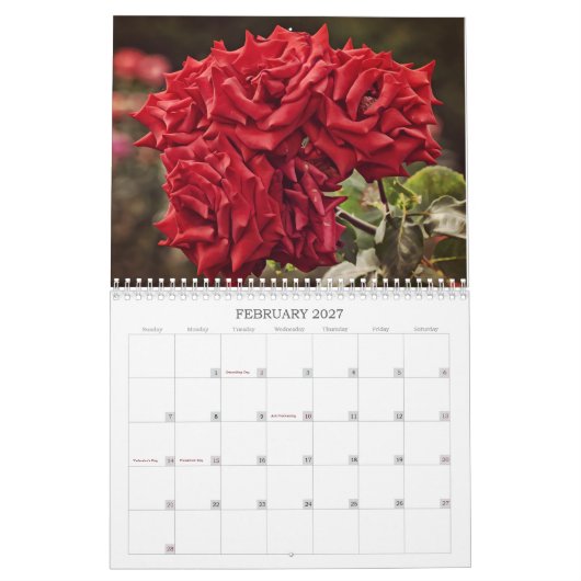 Farbige Rose Blume Kalender (Feb 2027)