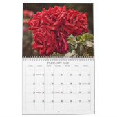 Farbige Rose Blume Kalender (Feb 2026)