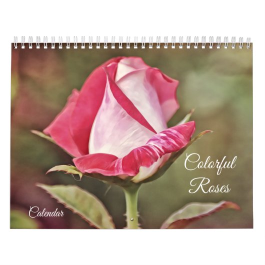 Farbige Rose Blume Kalender (Titelbild)
