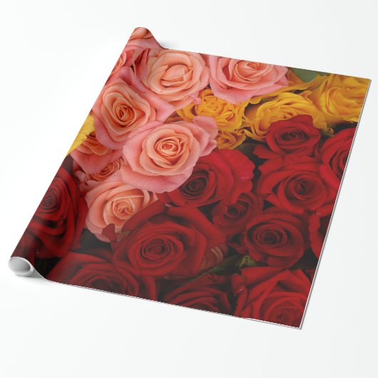 Farbige Rose Geschenkpapier (Ungerollt)