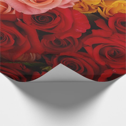 Farbige Rose Geschenkpapier (Ecke)
