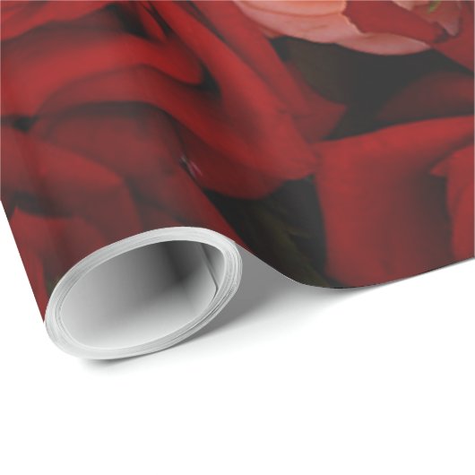 Farbige Rose Geschenkpapier (Rolleneckpunkt)