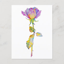 Farbige Rose jederzeit Karte